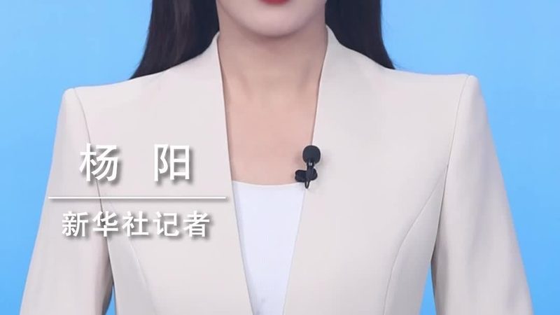 研发外包服务流程：揭秘高效合作的关键步骤**